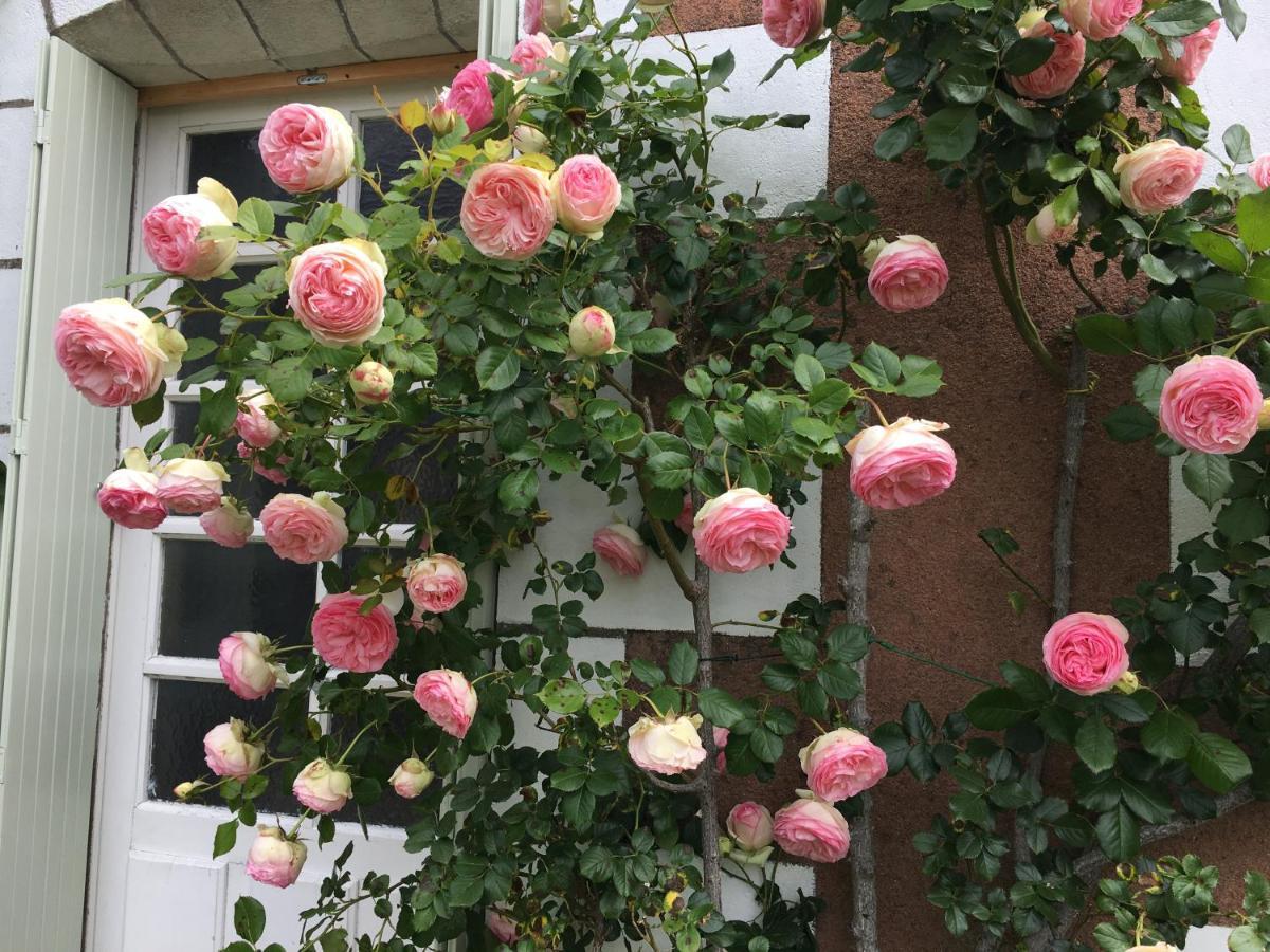 La Bauldiniere Bed & Breakfast Tauxigny Eksteriør bilde